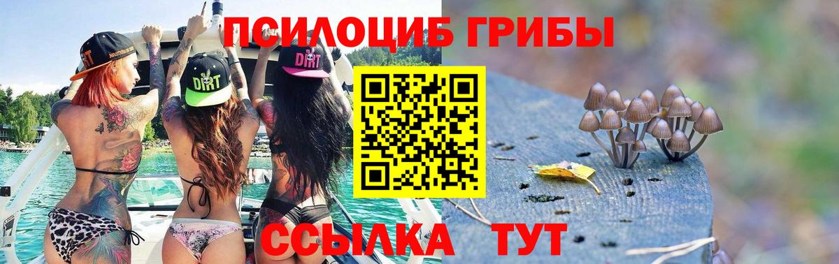 Псилоцибиновые грибы Psilocybe  Псилоцибиновые грибы MAGIC MUSHROOMS  Чита  Вход с VPN 