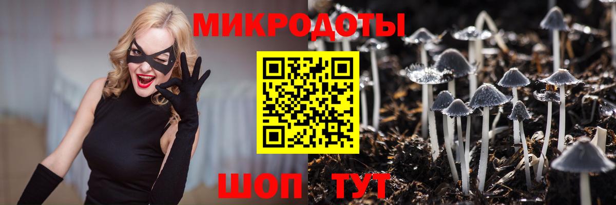 Галлюциногенные грибы MAGIC MUSHROOMS Чита